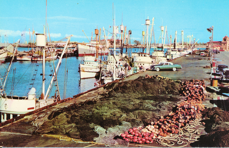 The back of the card reads "FISHERMAN'S WHARF, SAN PEDRO. Part o the Fishing Fleet that supplies the canneries of the San Pedro, Wilmington and Terminal Island Area. Los Angeles-Long Beach Harbor, California.