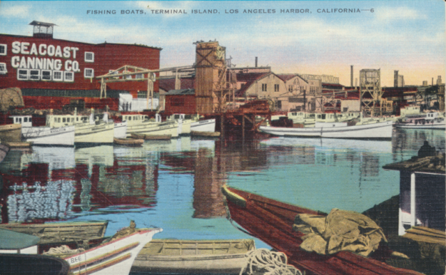 Back of postcard reads "San Pedro is the largest single-port fishing center in the world. Tuna and other varieties of fish are canned by 3500 cannery works with an annual payroll of $2,300,000."