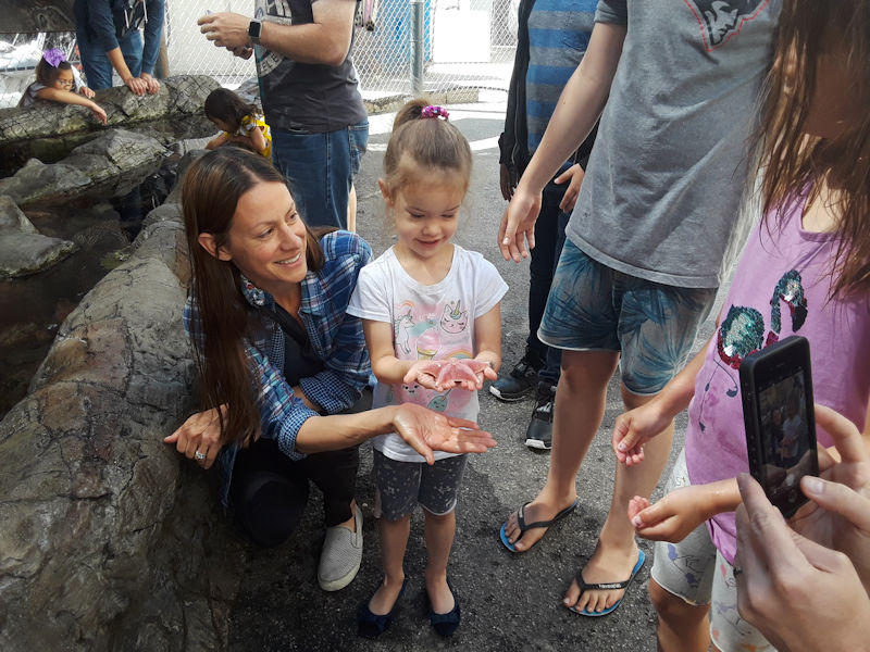 Young girl holding starfish by the touch tank at Cabrillo Marine Aquarium